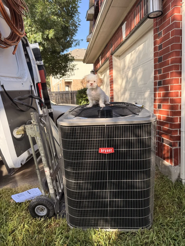 A small dog sits on top of an HVAC unit outside a home in Pflugerville, TX, showcasing HVAC services in the area.